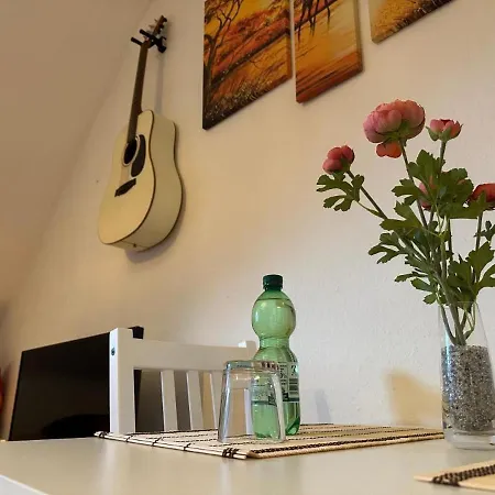 Moderne Kleine Oase Essen