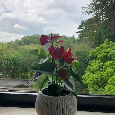 Moderne Kleine Oase Apartment