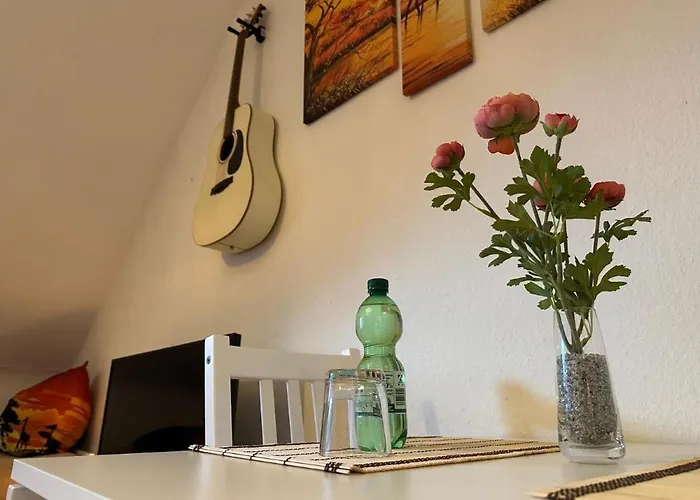 Moderne Kleine Oase Essen